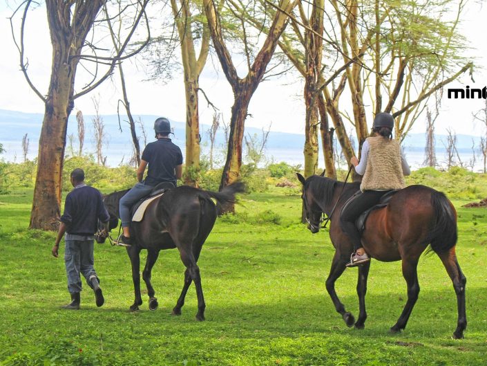 Guests horse riding at Lake Naivasha Sopa Lodge