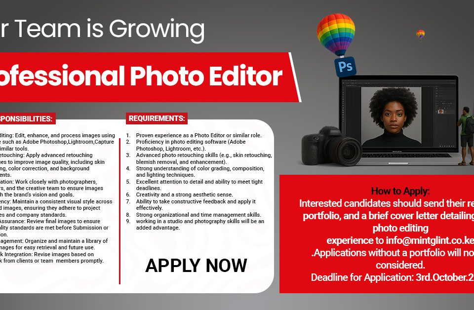 Vacancy Studio Lead – Full time/Office Based Role at Mint Glint Media